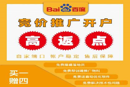 百度竞价SEM成功案例：揭秘广告投放秘诀